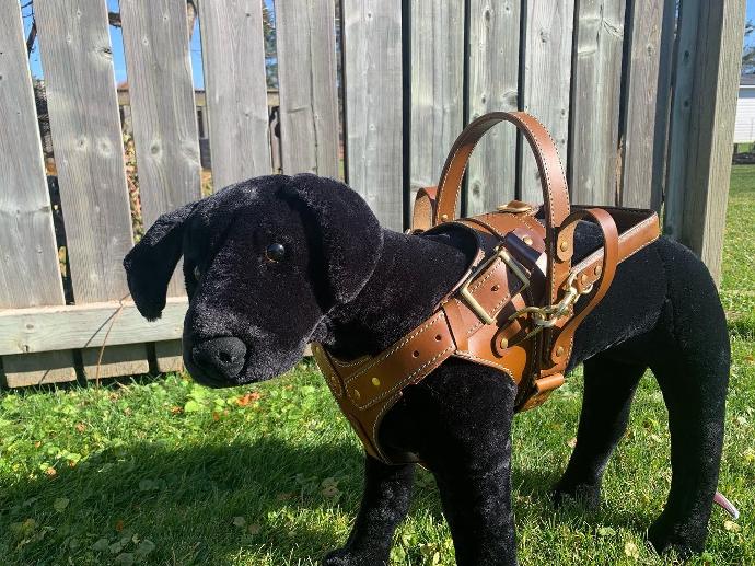Custom Full Saddle Y-Front Harness (Medium - 23"-30", Leather Lining, Brass)
